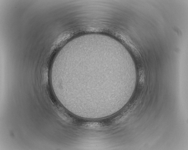 X0000115280685200911272007