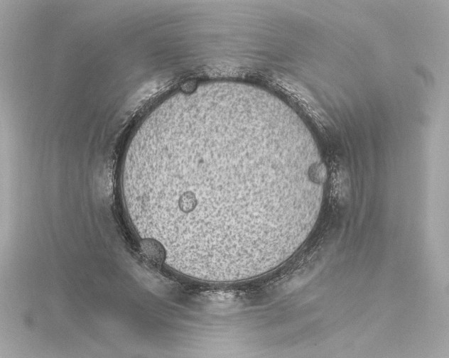 X0000115280687200911272007