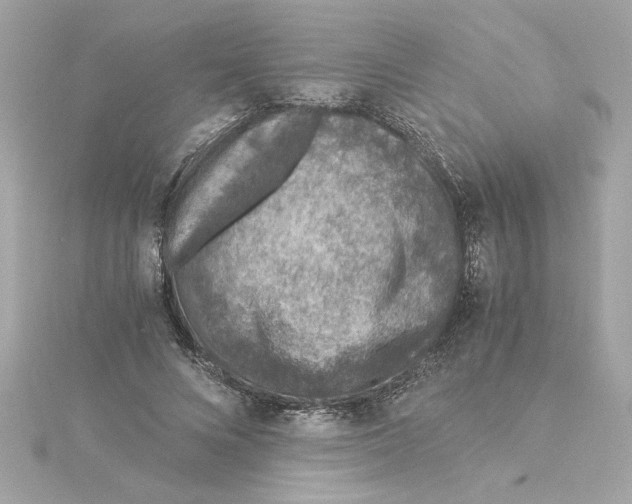 X0000115280688200911272007