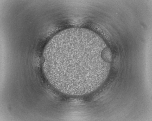 X0000115280689200911272007