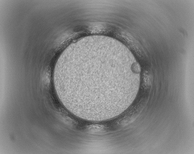 X0000115280691200911272007