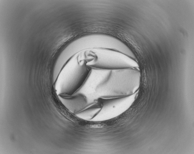 X0000115280692200911272007