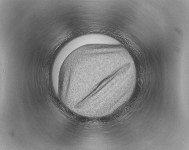 X0000115280696200911272007