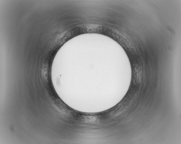 X0000115280698200911272007