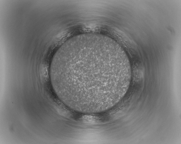 X0000115280699200911272007