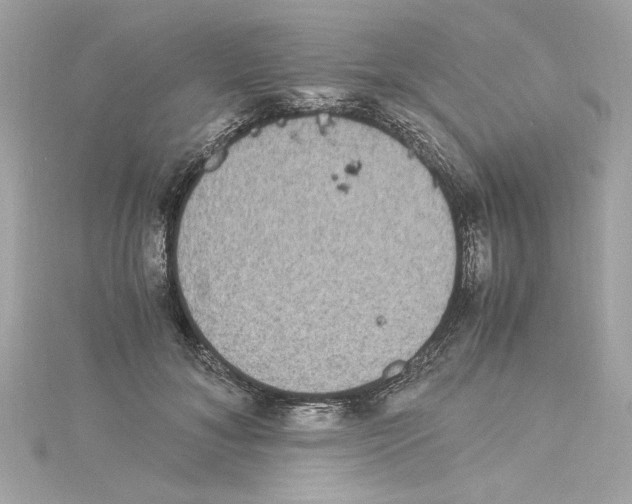 X0000115280700200911272007