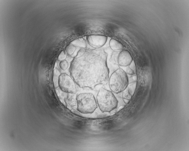 X0000115280701200911272007