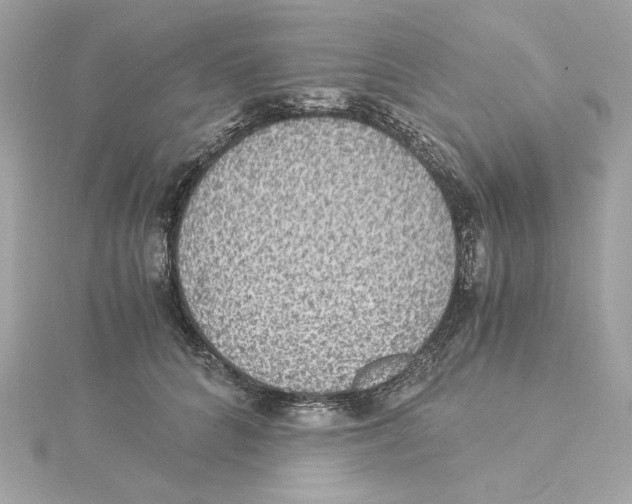 X0000115280704200911272007