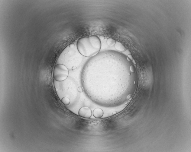 X0000115280705200911272007