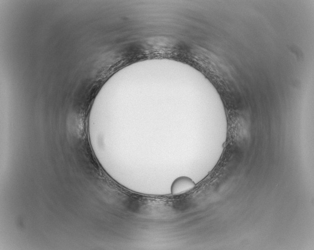 X0000115280709200911272007