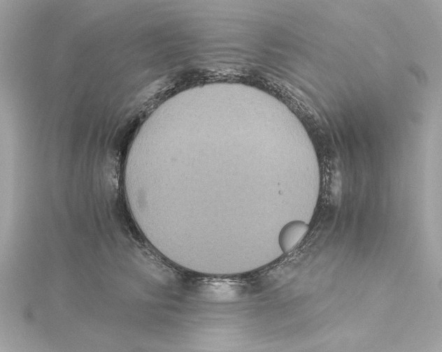 X0000115280710200911272007