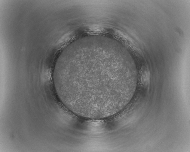 X0000115280711200911272007