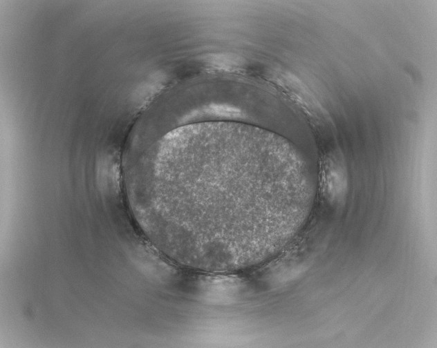 X0000115280716200911272007