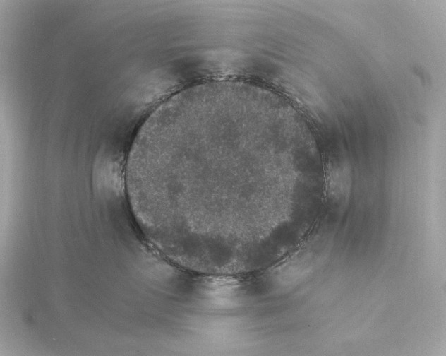 X0000115280719200911272007