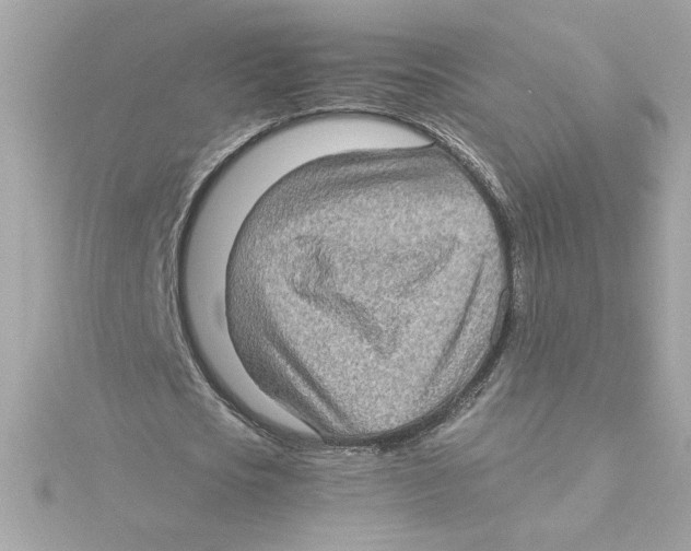 X0000115280721200911272006