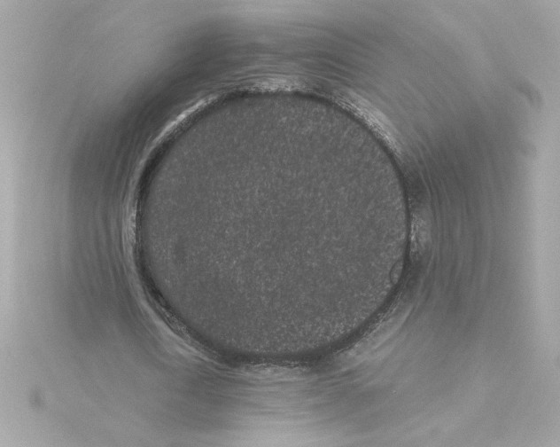 X0000115280722200911272006