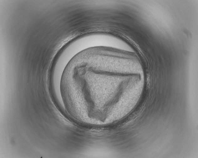 X0000115280725200911272006