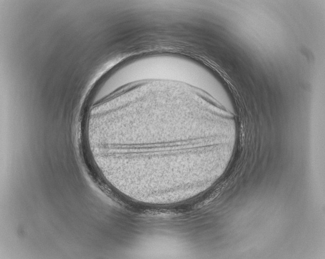 X0000115280726200911272006