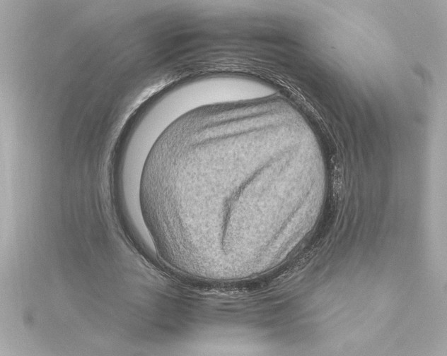 X0000115280727200911272006