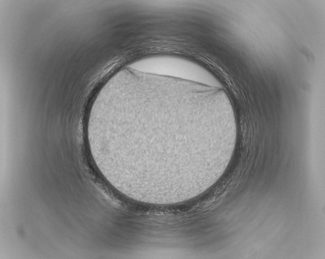 X0000115280729200911272006