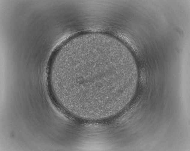 X0000115280730200911272006