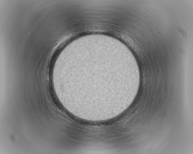 X0000115280731200911272006