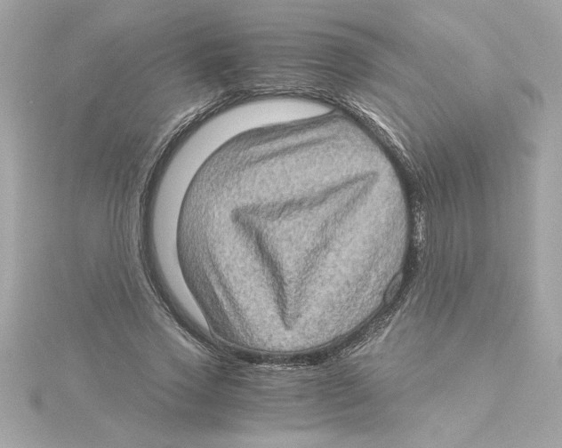 X0000115280733200911272006