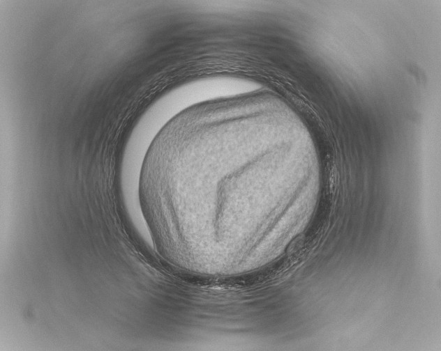 X0000115280737200911272006