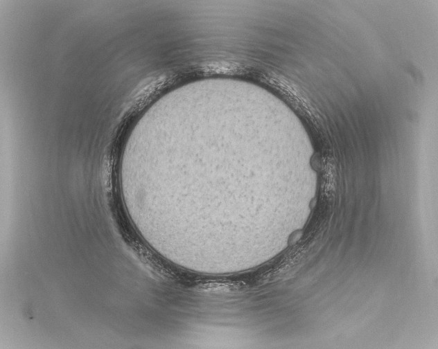 X0000115280738200911272006