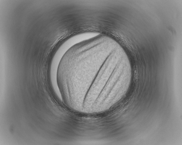 X0000115280739200911272006