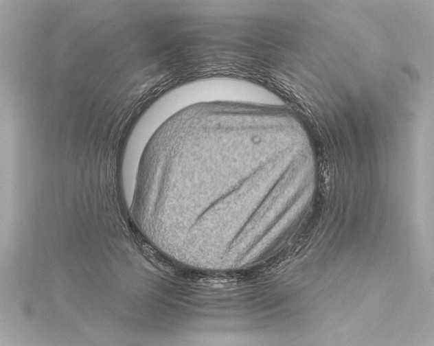 X0000115280745200911272006