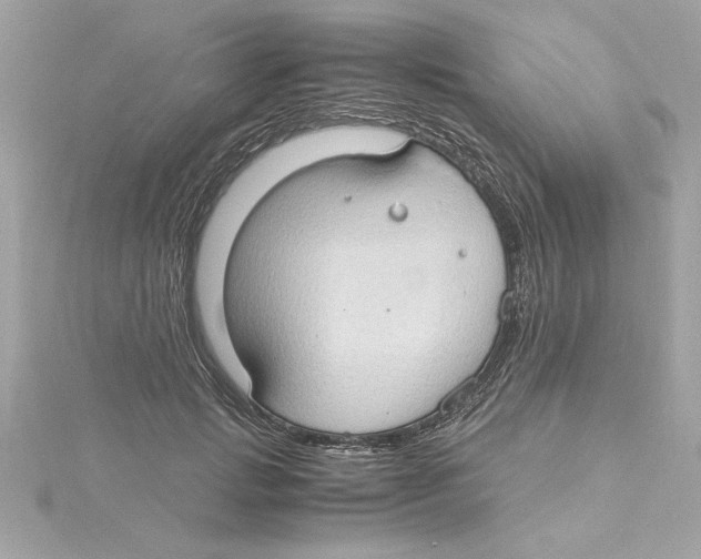 X0000115280749200911272006