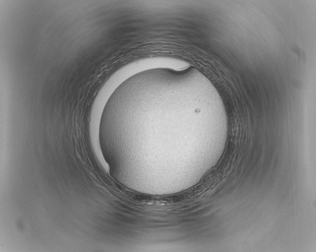 X0000115280751200911272006