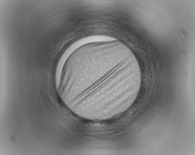 X0000115280755200911272006