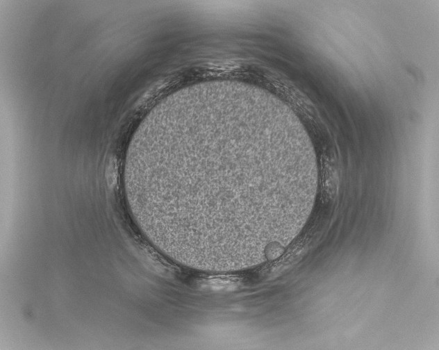 X0000115280758200911272007