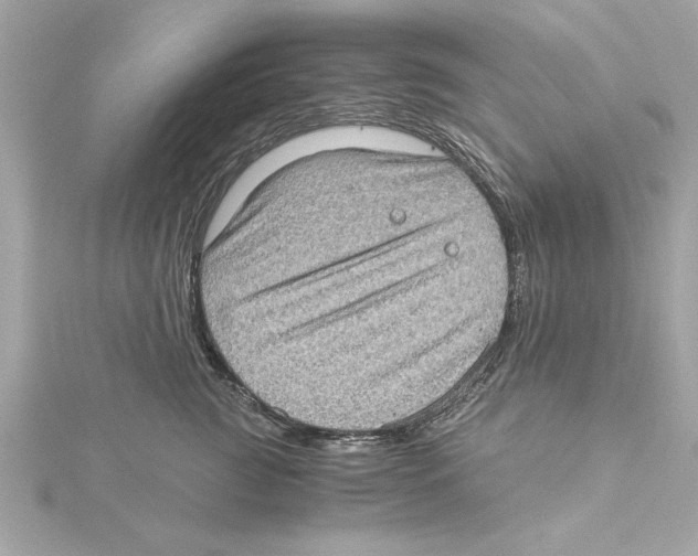 X0000115280761200911272007