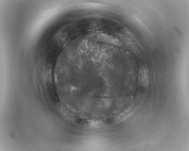 X0000115280762200911272007