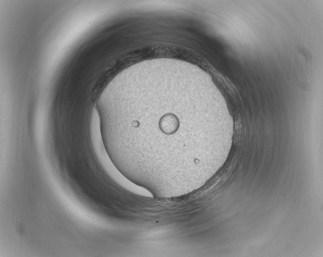 X0000115280765200911272007