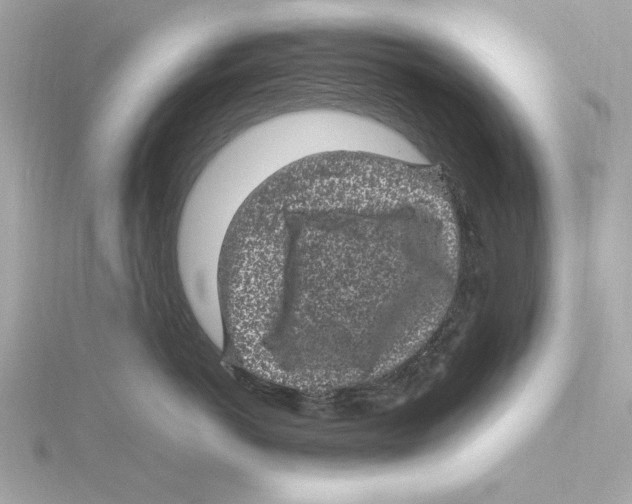 X0000115280766200911272007