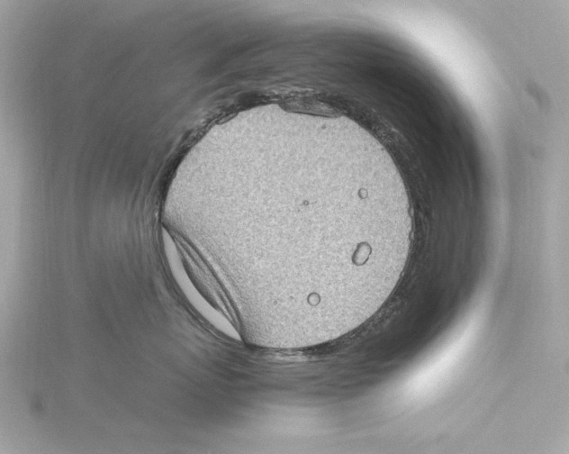 X0000115280767200911272007