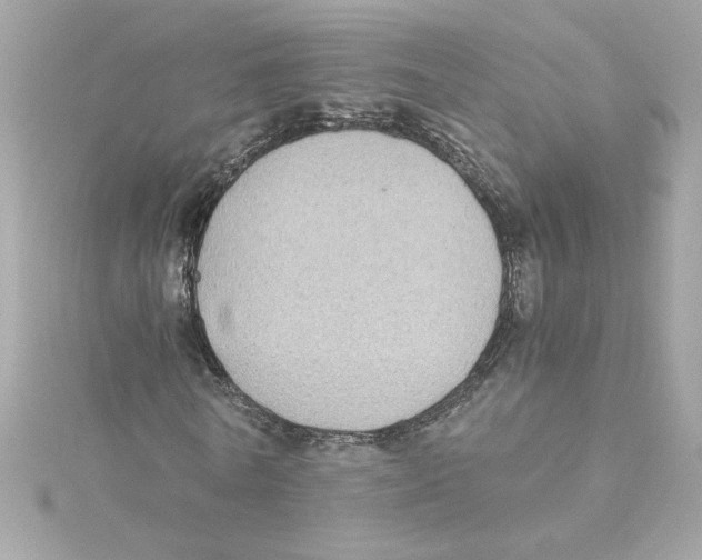 X0000115280770200911272006