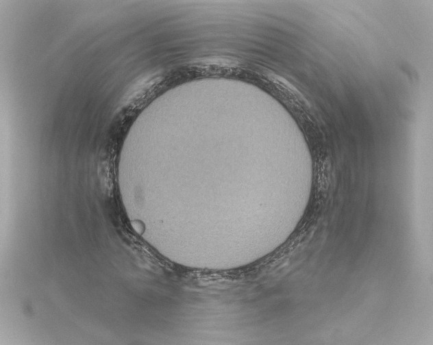 X0000115280774200911272006