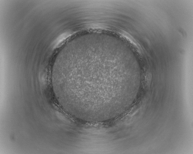 X0000115280775200911272006