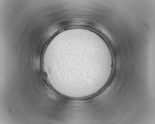 X0000115280777200911272006