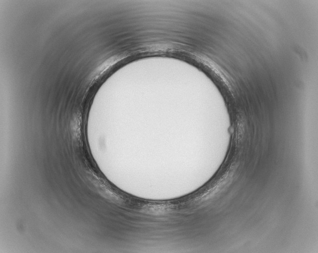 X0000115280778200911272006