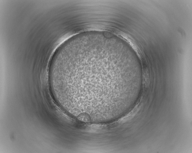 X0000115280779200911272006