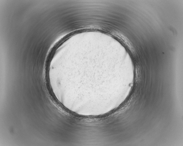 X0000115280780200911272006