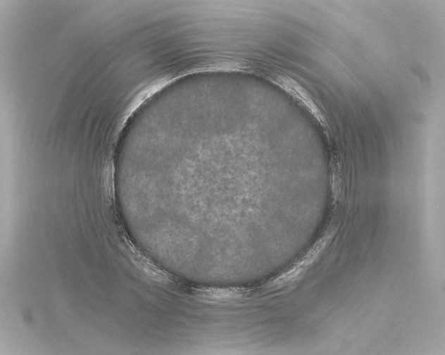 X0000115280781200911272006