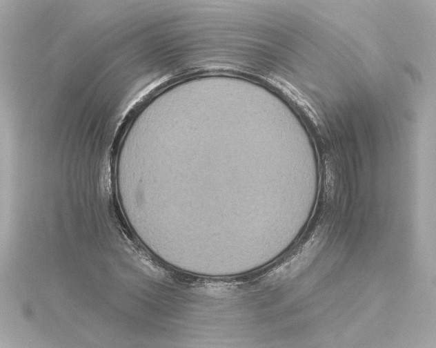 X0000115280782200911272006