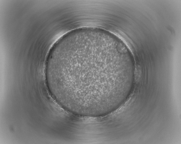 X0000115280783200911272006